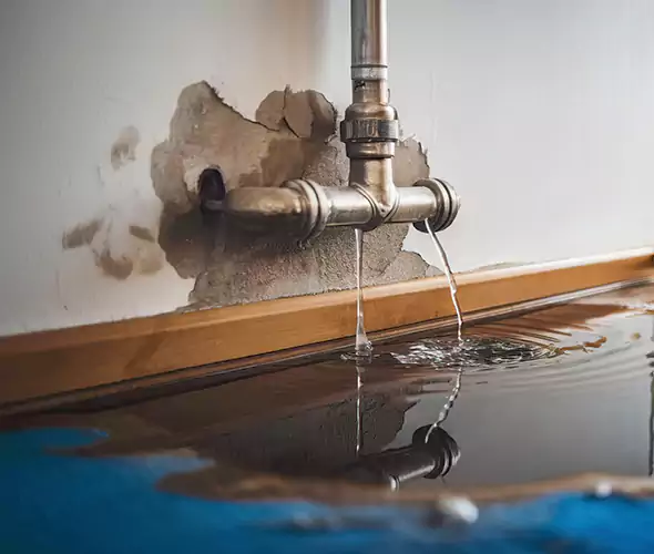 Professional Water Damage Restoration Experts in Albany, NY — Fast, Reliable & Certified