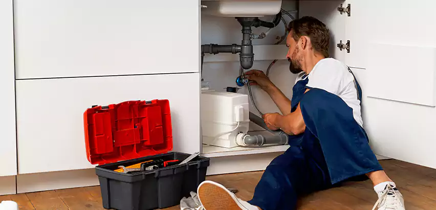 Reliable Garbage Disposal Replacement Services in Albany, NY