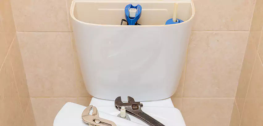 Upflush Toilet Installation in Albany