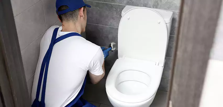 Toilet Lid Replacement in Albany