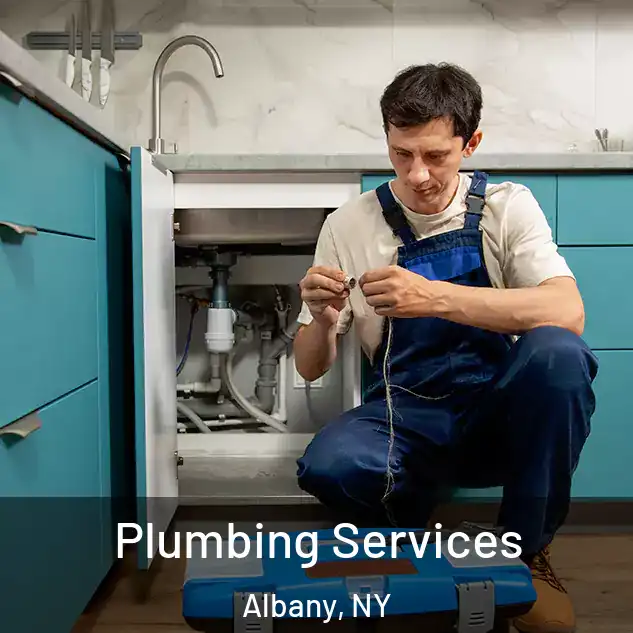  Plumbing Services Albany, NY