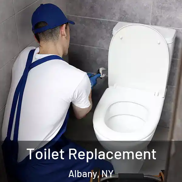  Toilet Replacement Albany, NY