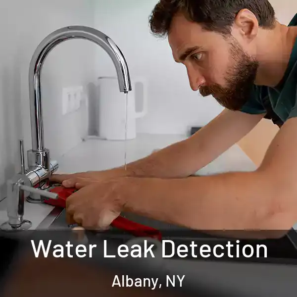  Water Leak Detection Albany, NY